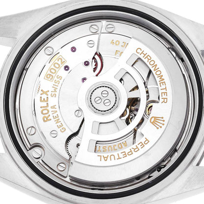 Rolex Sky-Dweller Steel White Gold White Dial Mens Watch 336934 42mm
